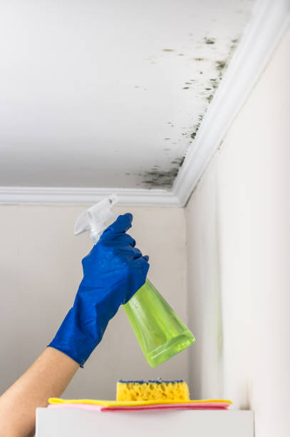 Best Biohazard Mold Removal  in Coldspring, TX